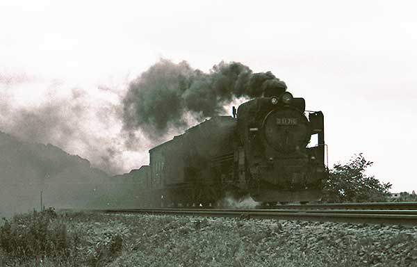 室蘭線　栗丘-栗山　D51710牽引、6371ㇾ貨物列車